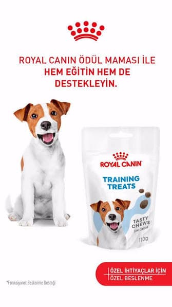 ROYAL CANİN KÖPEK ÖDÜL MAMASI