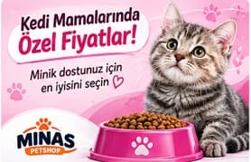 Yavru Kedi Maması
